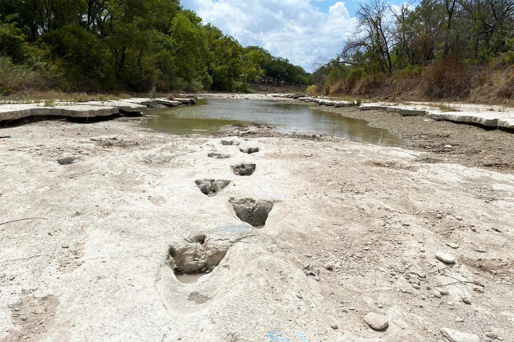 Wide view of dinosaur tracks exposed in the dry Paluxy Riverbed at Dinosaur Valley State Park